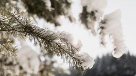 Surpriză meteo de Crăciun! Zonele din România unde va ninge pe 25 decembrie